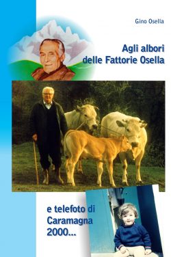 alboriosella_single